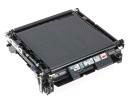 Epson C13S053024